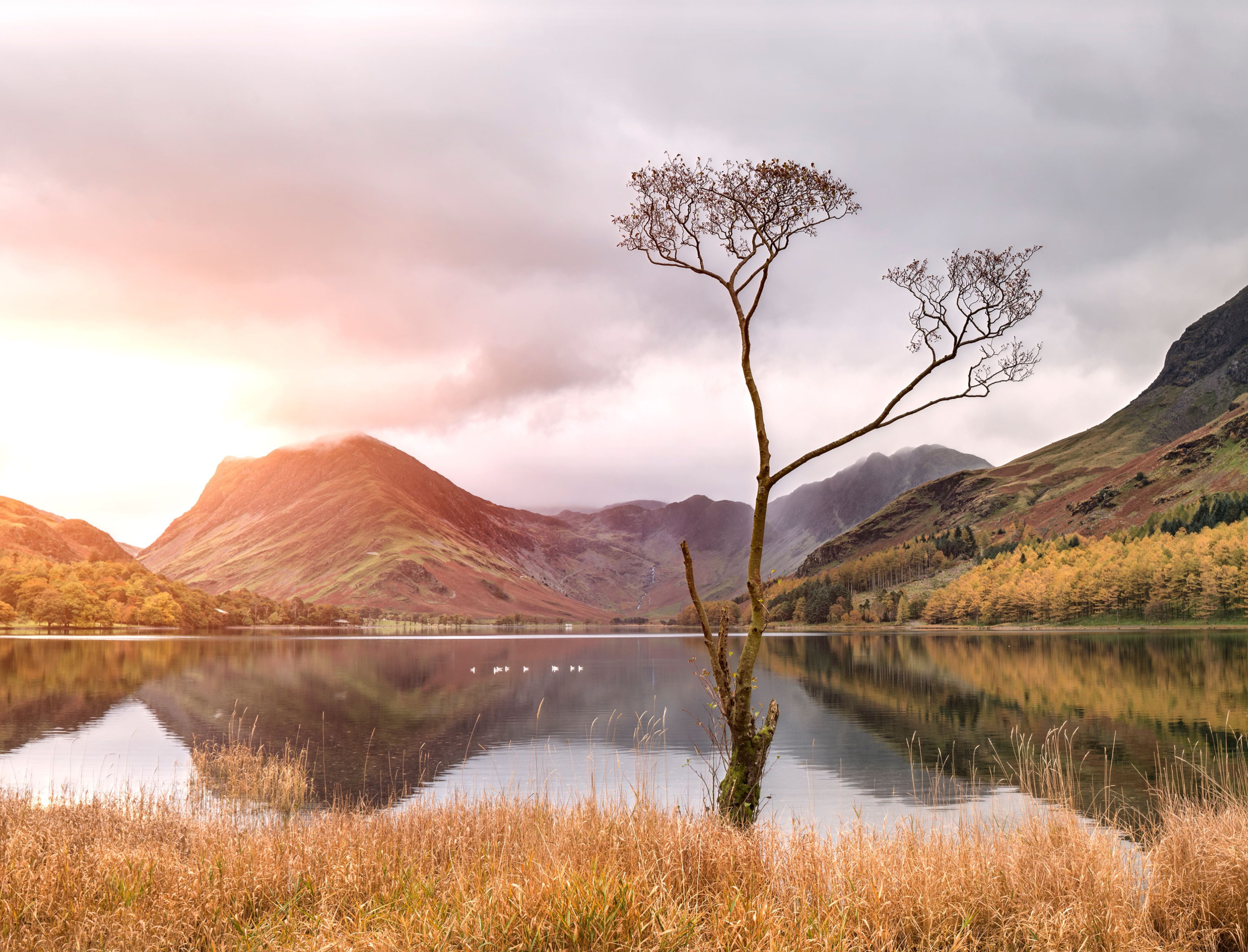 Wellness Retreat in the Lake District